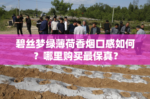 碧丝梦绿薄荷香烟口感如何？哪里购买最保真？